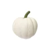 Mini Pumpkin