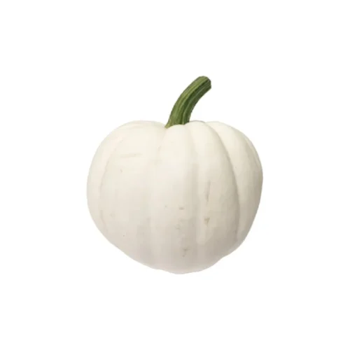 Mini Pumpkin